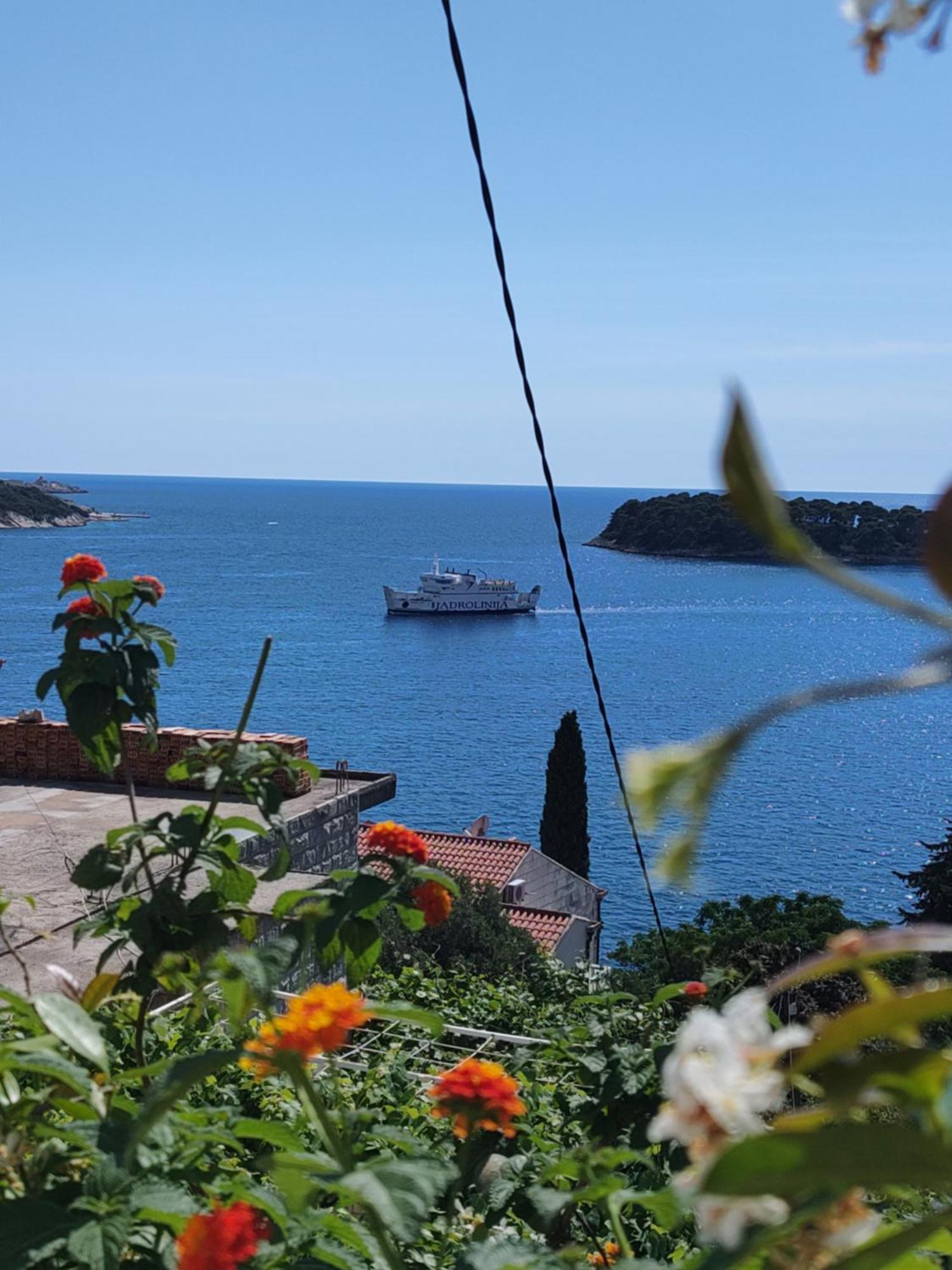 Oliva Apartments Lozica Dubrovnik Dış mekan fotoğraf